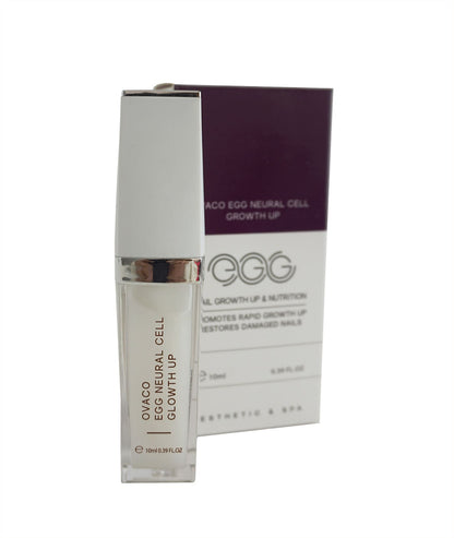 Egg Neural Cell Nail Growth Up