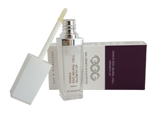 Egg Neural Cell Nail Growth Up